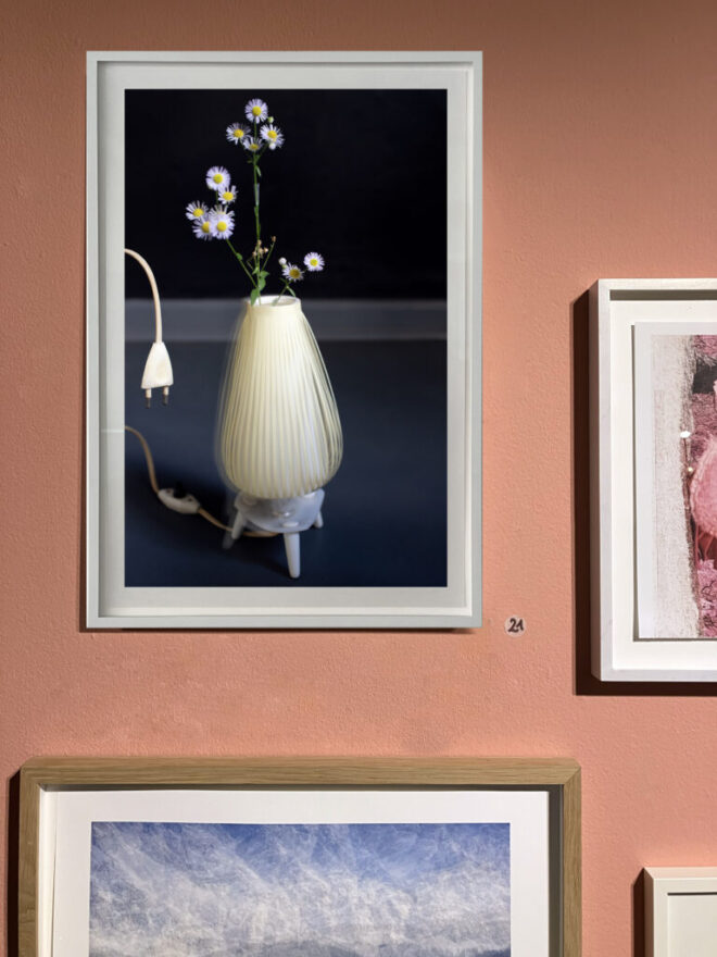 Art & Nature IV  – Natur in der zeitgenössischen Kunst