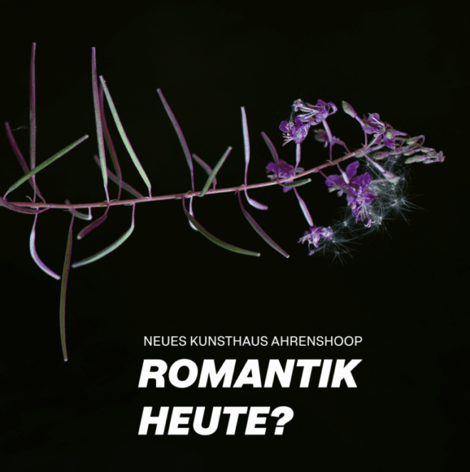 Publikation – Neues Kunsthaus Ahrenshoop